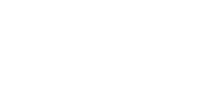 Logo Carel Lurvink