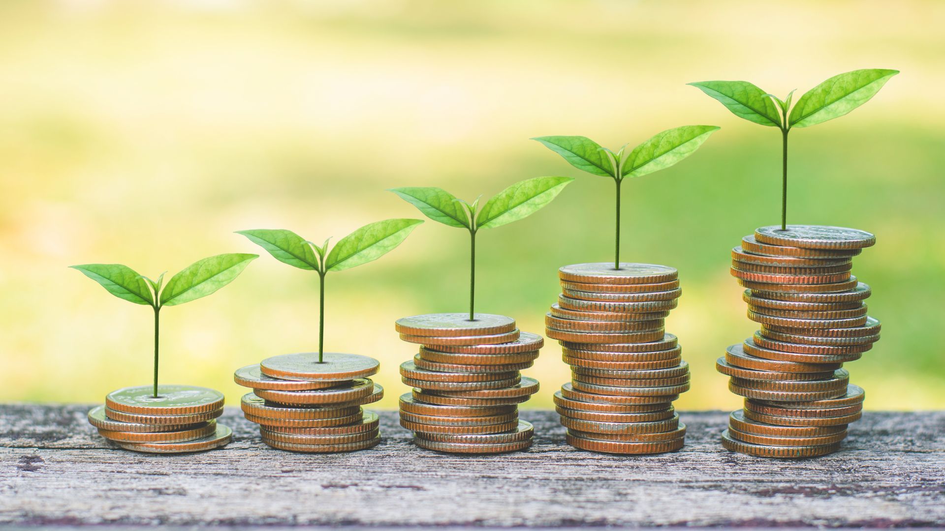 Managing green money Altares