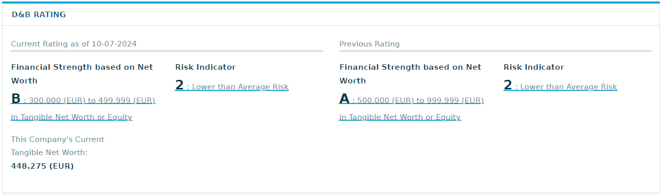 D&B Rating example