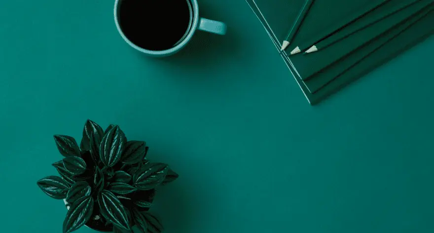 Koffiemok, schriften en kamerplantje
